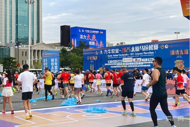 系统, 来自国内外